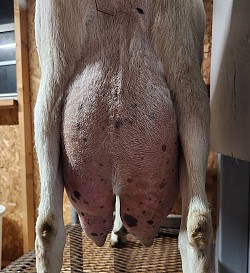 2F